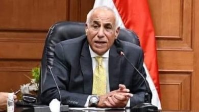 حسين لبيب
