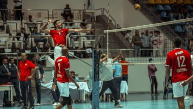دوري الطائرة