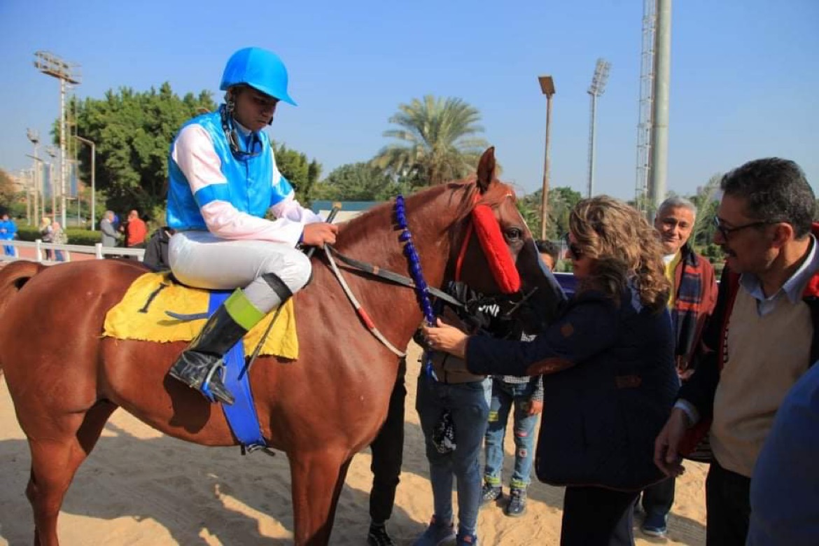 مهرجان الخيول العربية المصرية الاصيلة