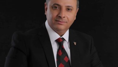 المستشار محمد مصطفى