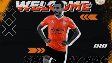 شكري نجيب