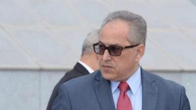 الدكتور حسام الدين مصطفى رئيس اللجنة البارالمبية المصرية