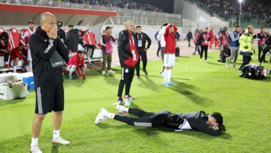 صحفي ألماني يفجر مفاجأة مدوّية