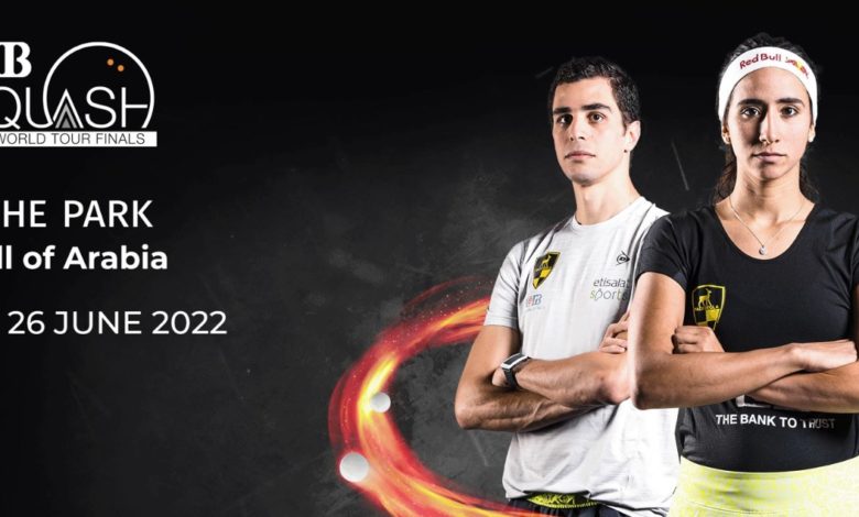 بطولة cib الدولية