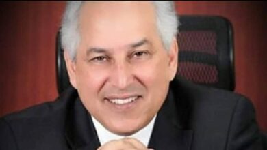 الدكتور حسام الدين مصطفى رئيس اللجنة البارالمبية المصرية