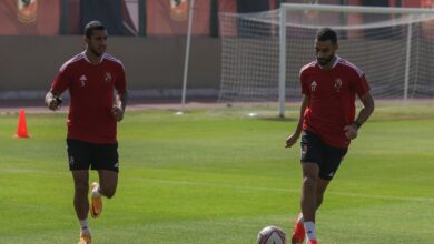 عمرو السولية ورامي ربيعة