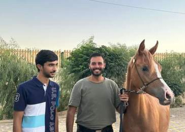 تكريم طبيب الخيول