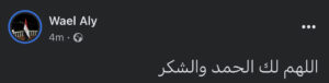 وائل عبد العاطي