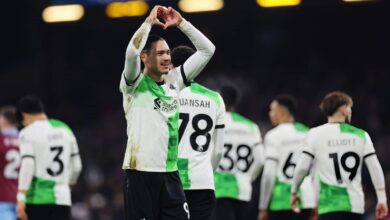 حصاد المحترفين 2023