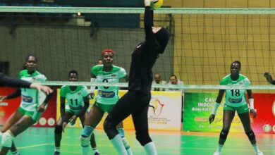 منتخب سيدات الكرة الطائرة