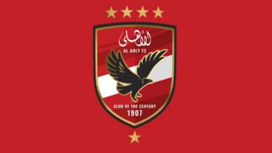 الريشة الطائرة البارالمبي