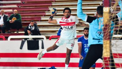 دوري محترفي كرة اليد