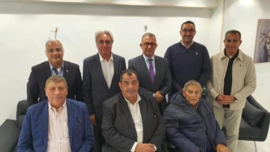 الاتحاد المصري للبولو