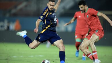 جراديشار لاعب الأهلي